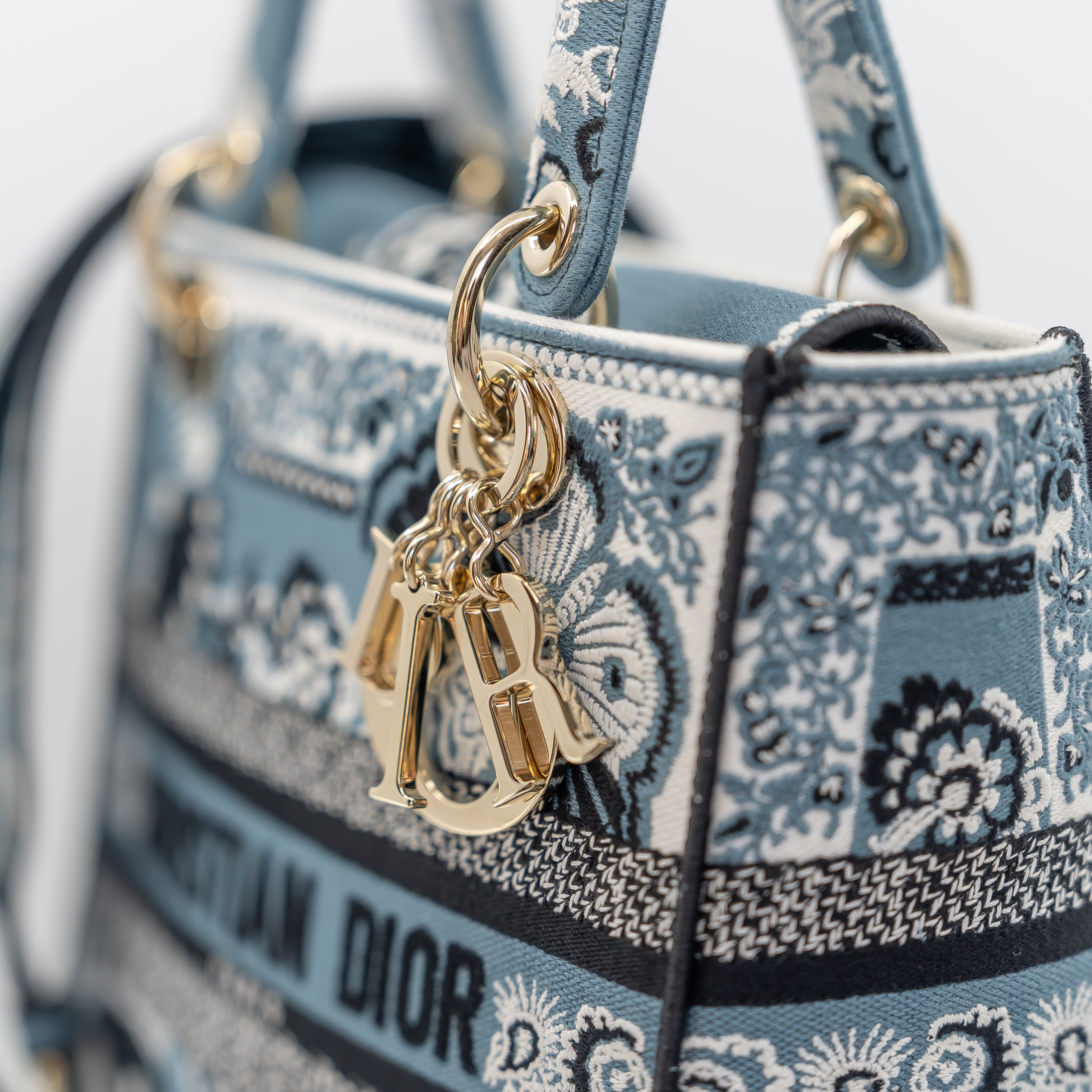 Lady D-Lite Medium Bag Embroidered Canvas